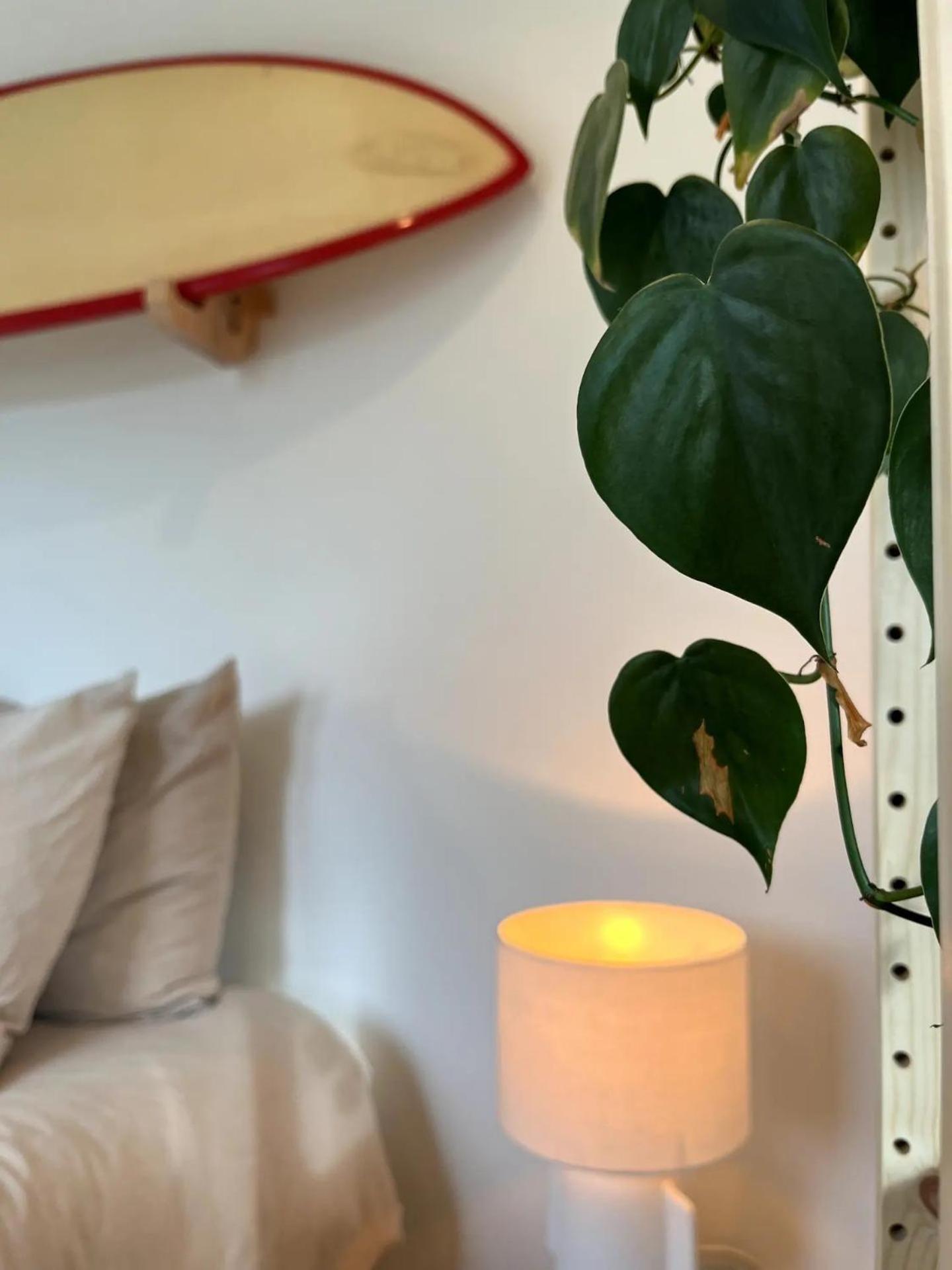 Boja Beach House 잔드보르트 외부 사진